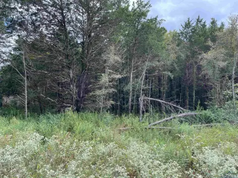 Residential Lot in Lindale, Texas