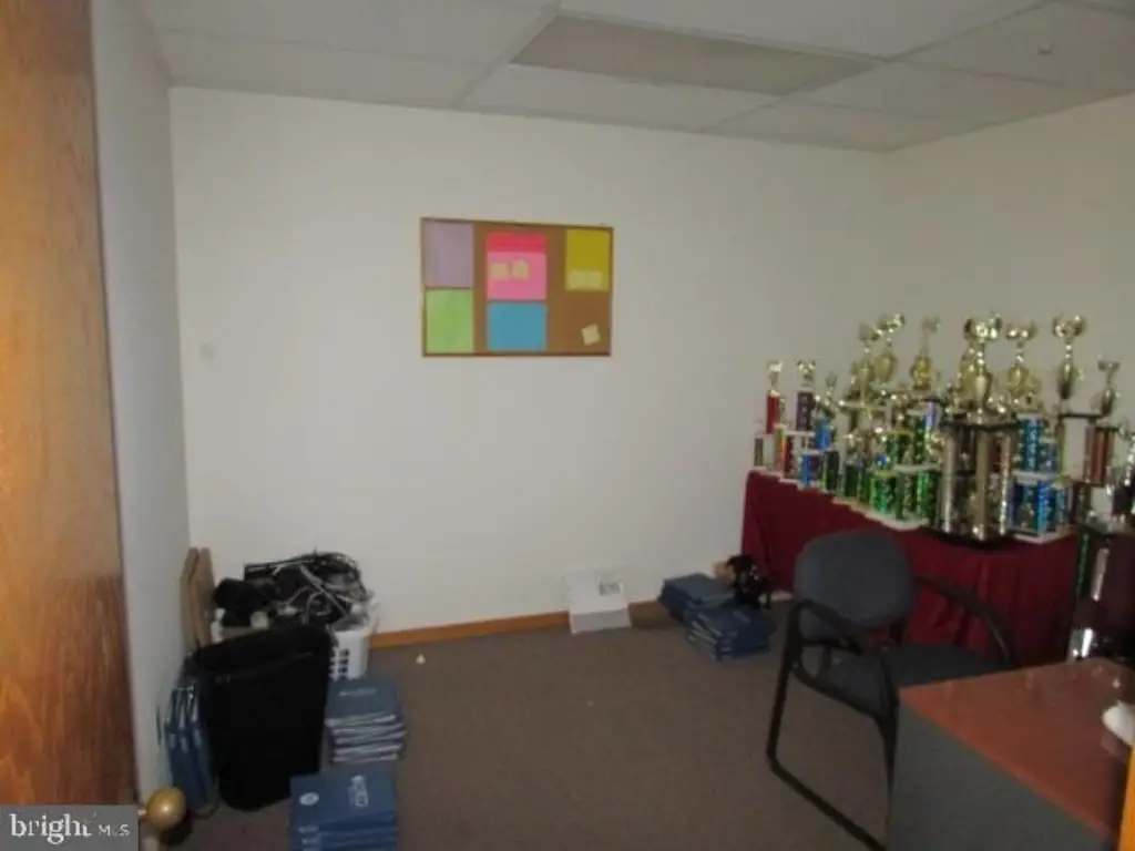 Picture 5