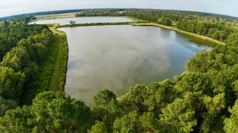 375 Acres Vacant Land, Grifton