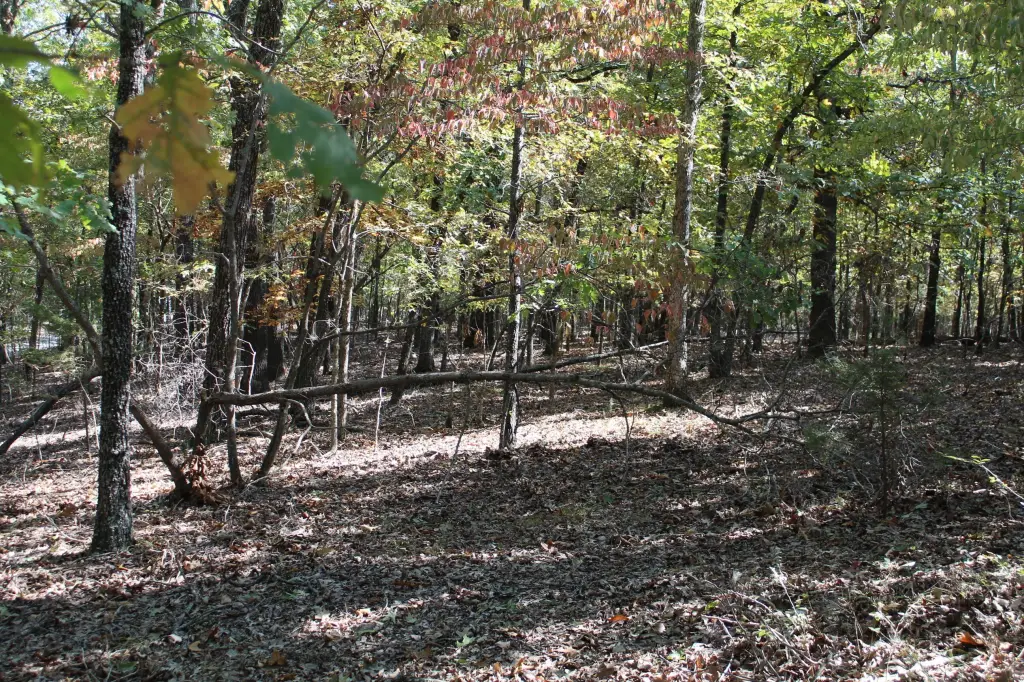 Picture 16