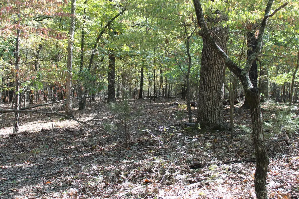Picture 15