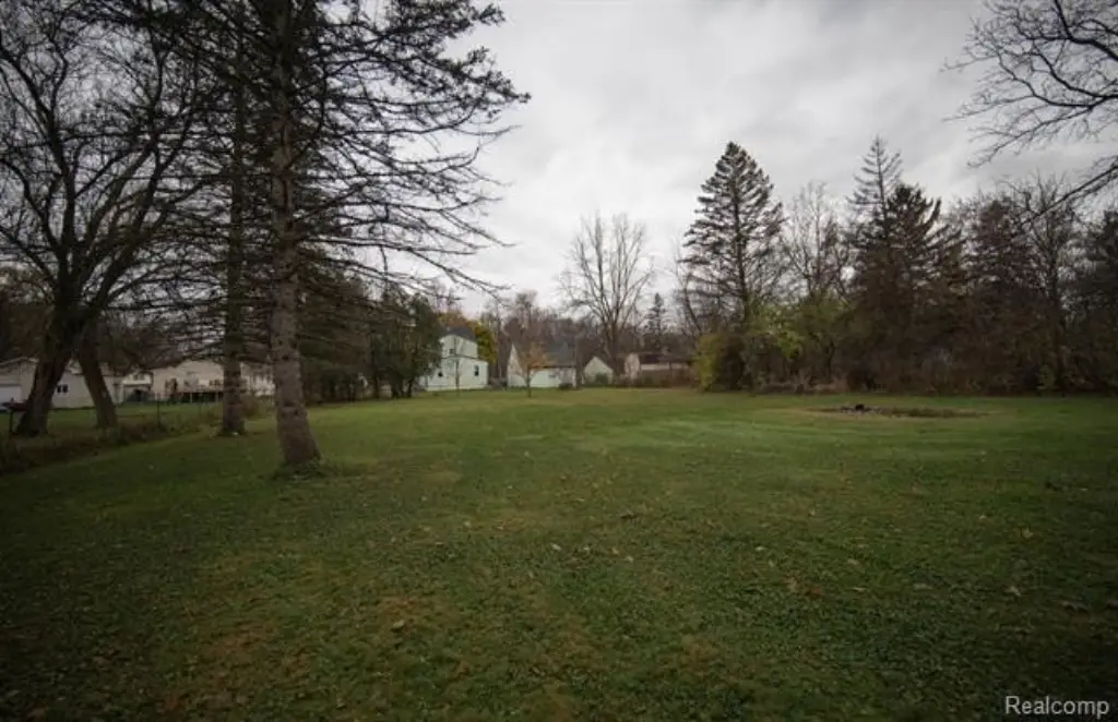 Picture 20