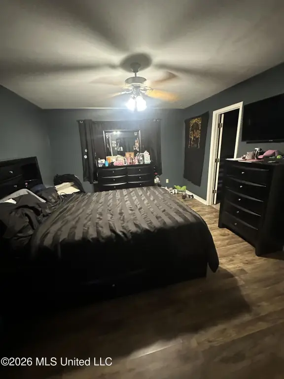 Picture 21