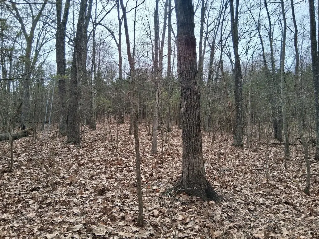 Picture 7
