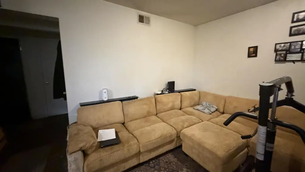 Picture 5