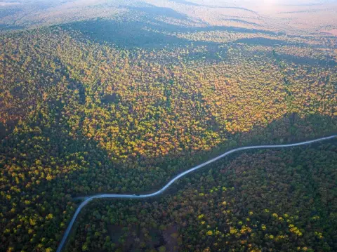 230 Acres Prime Timberland Hunting