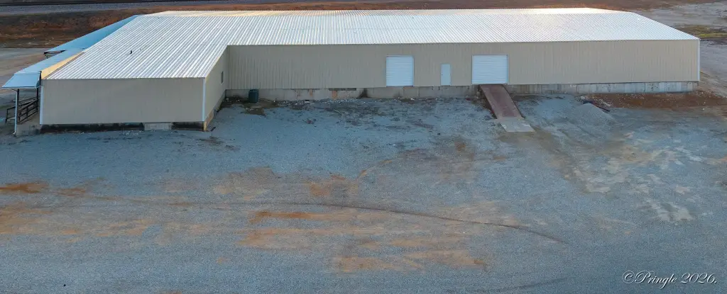 Picture 6