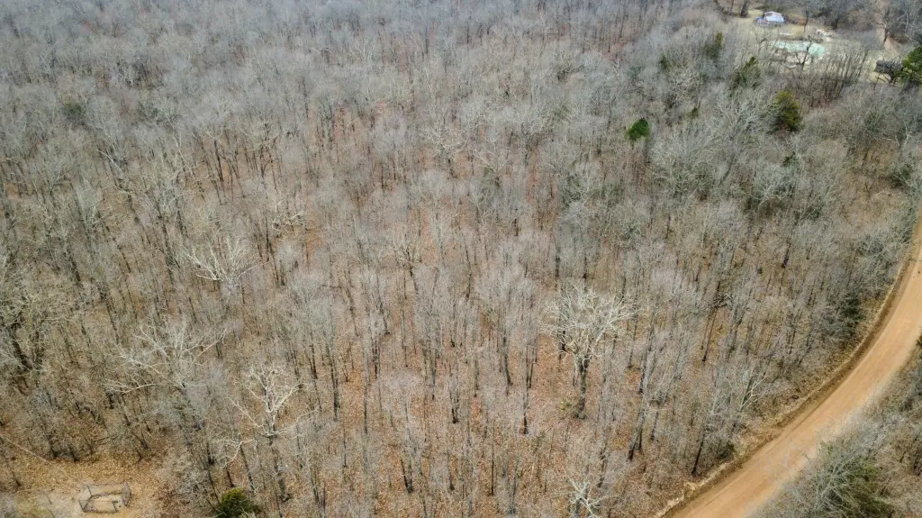 Picture 3