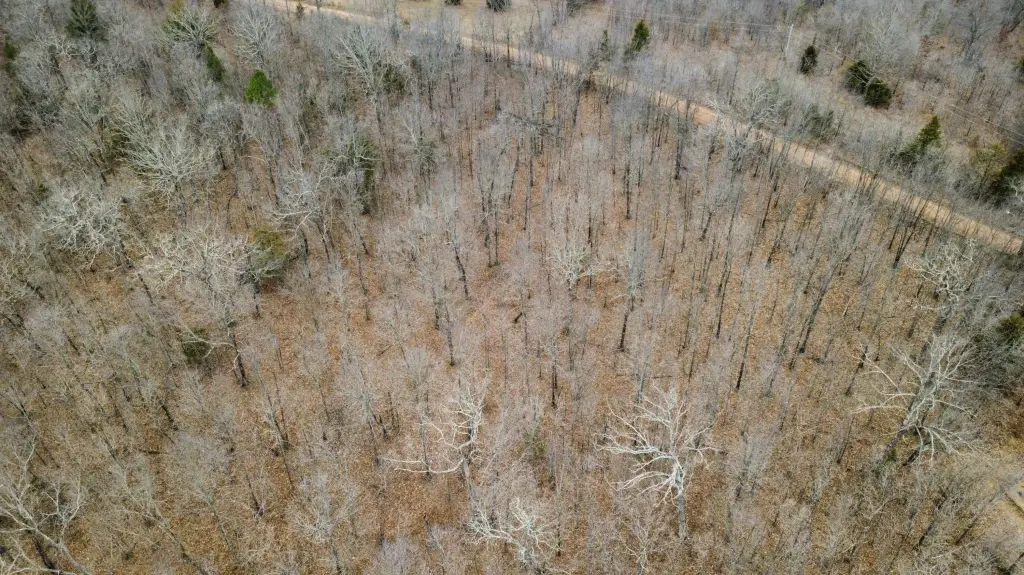 Picture 4