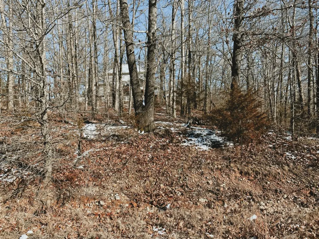 Picture 2