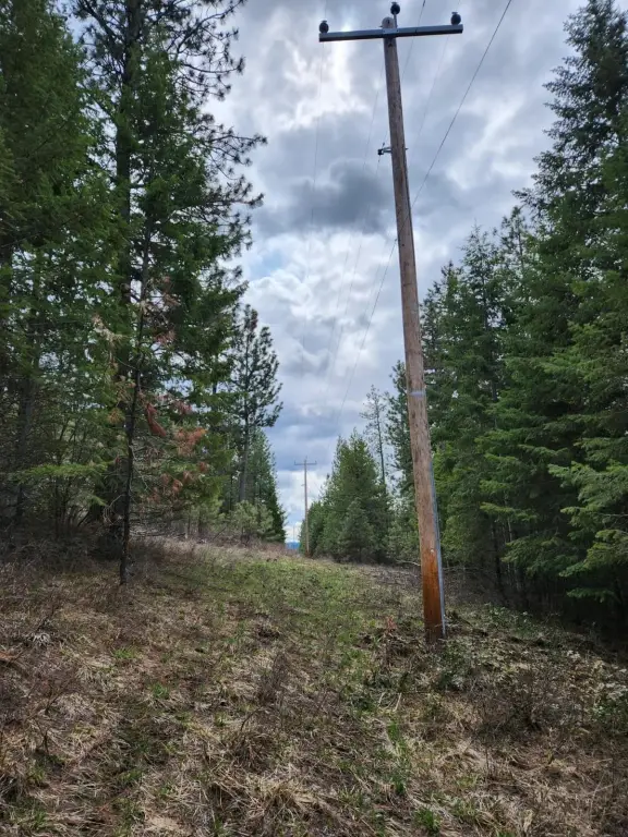 Picture 19