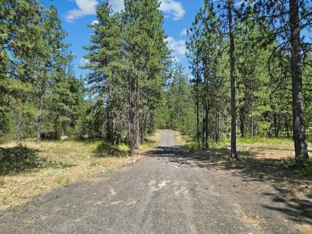 Picture 7