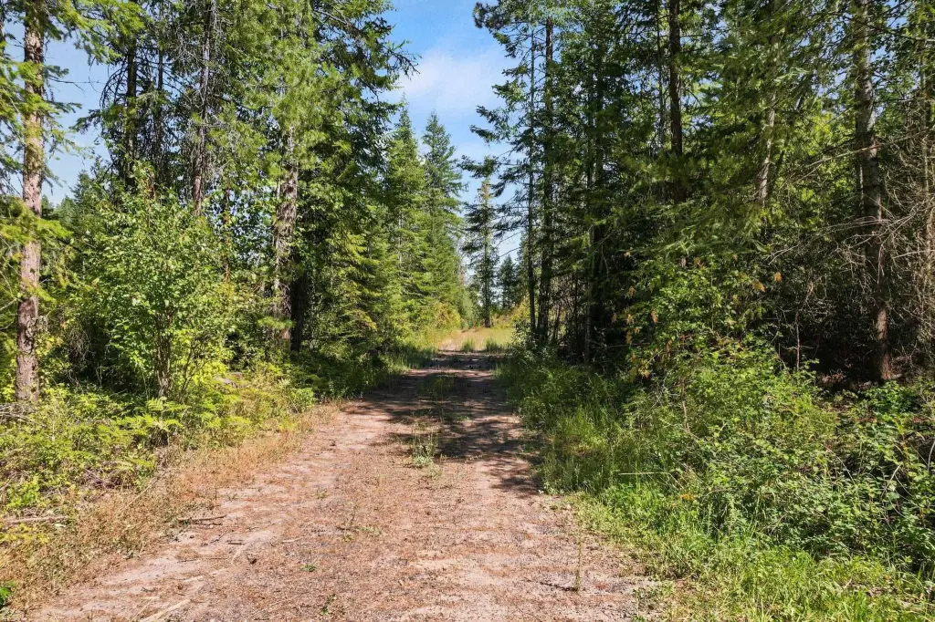 Picture 20