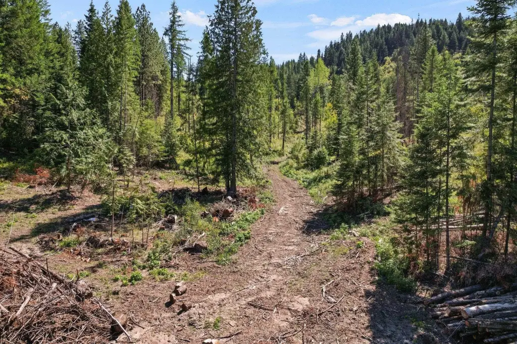 Picture 22