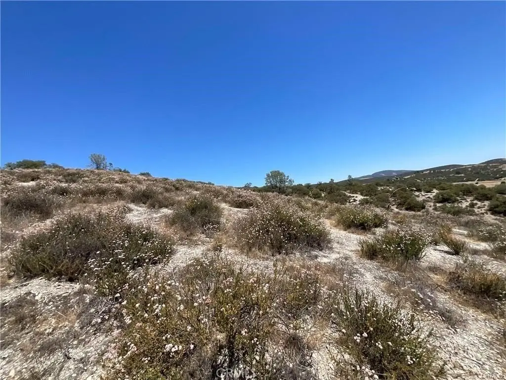 Picture 23