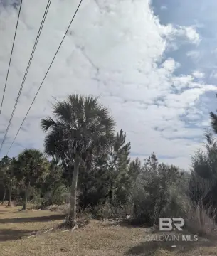 Summerdale Land Investment Opportunity