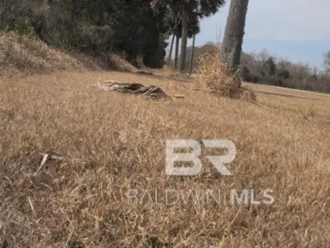 Summerdale Land Investment Opportunity