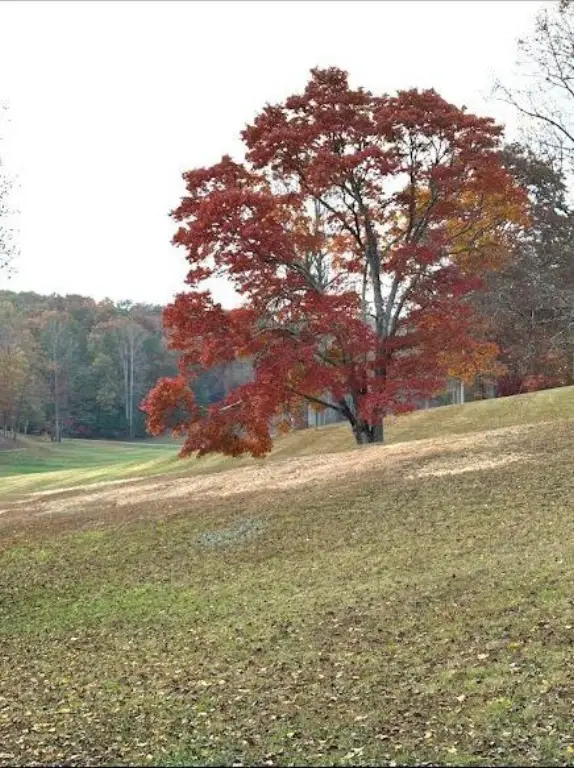 Picture 16