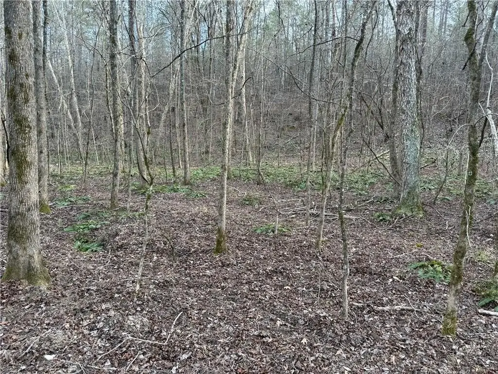 Picture 18