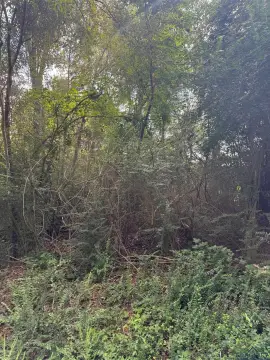 Overton, TX Acreage Opportunity