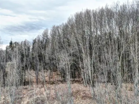 Land in Aspen Groves