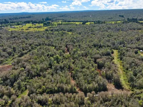 Secluded Rainforest Land Near Hilo