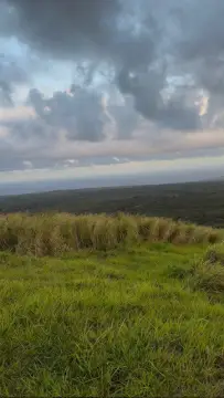 Pasture Land in Naalehu, HI