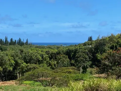 Kauai Land with Ocean View