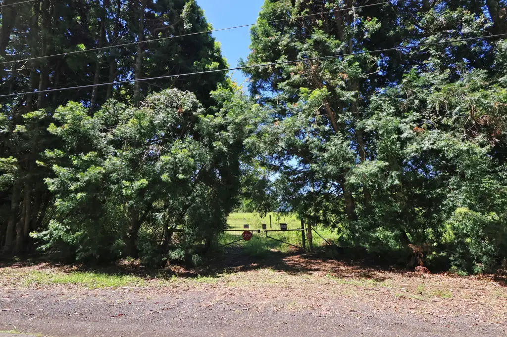 Picture 26