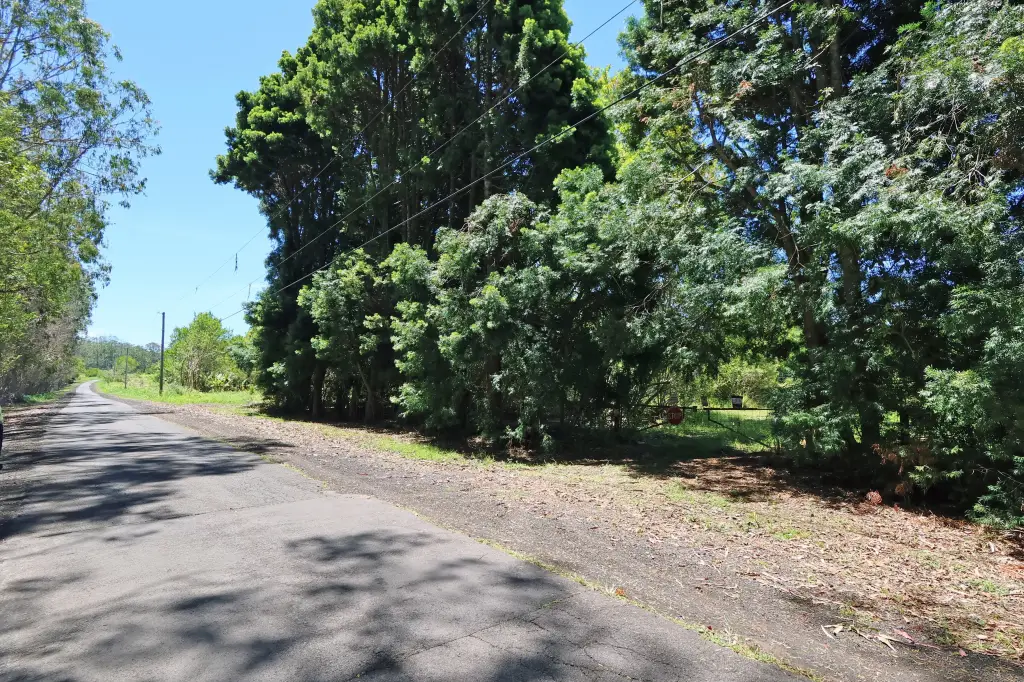 Picture 29