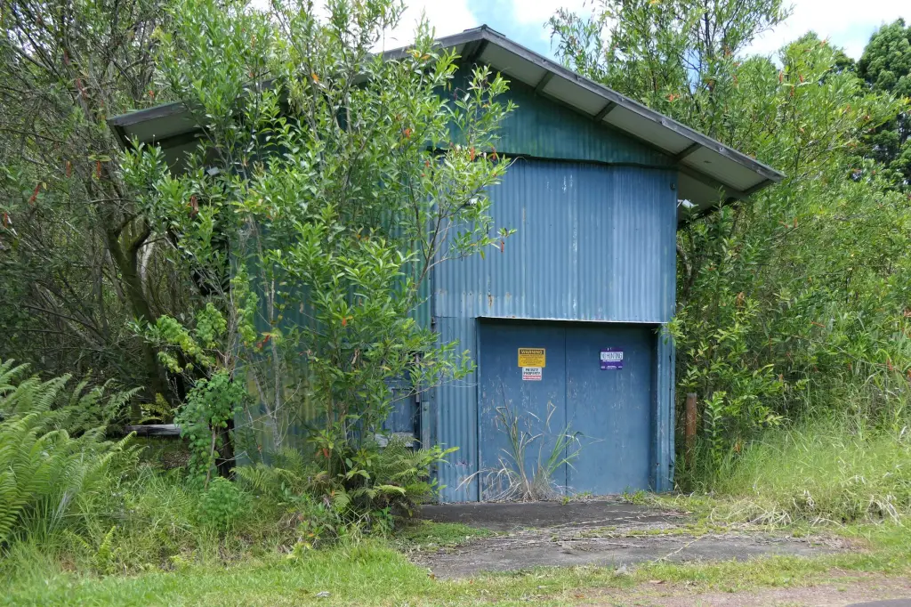 Picture 5