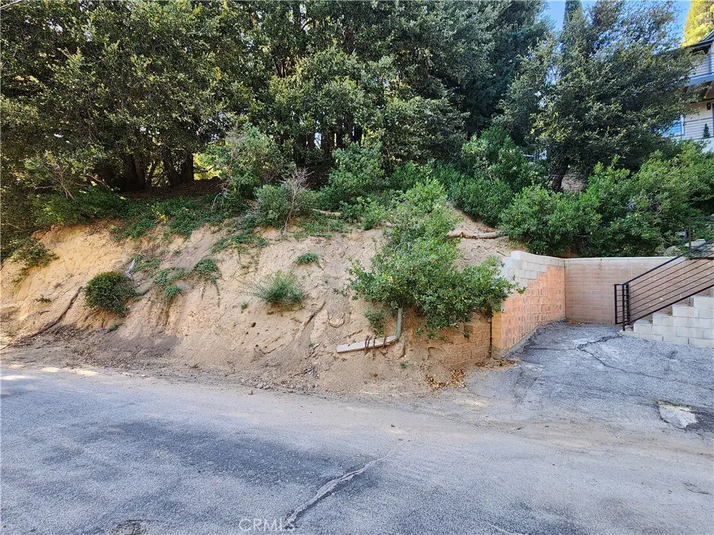 Picture 6