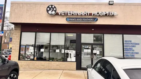 Prime Chicago Corner Storefront