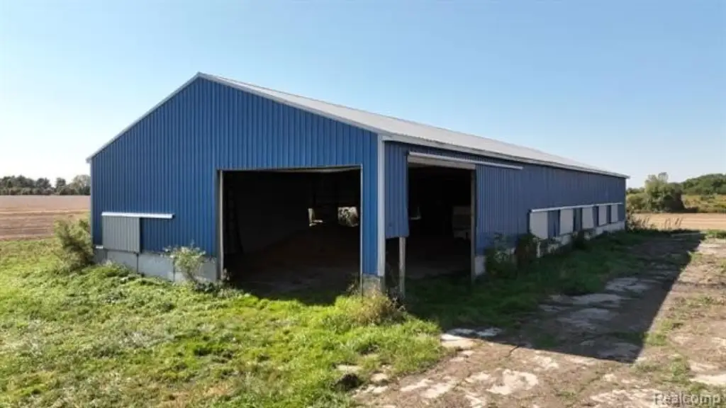 Picture 25