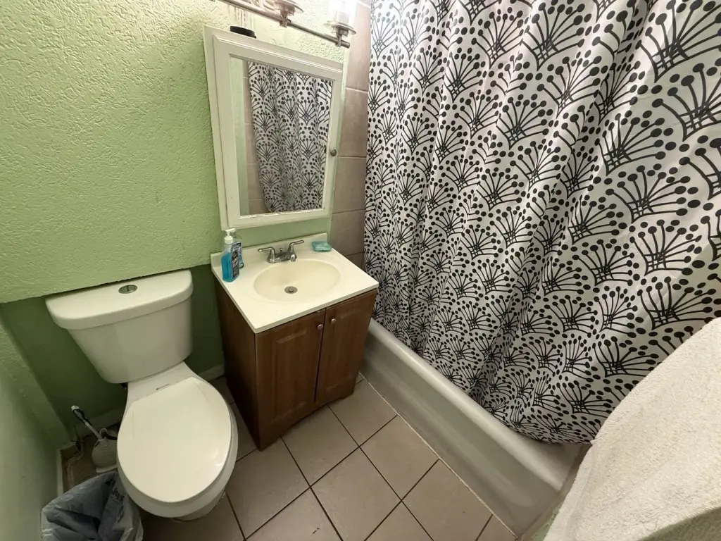 Picture 13