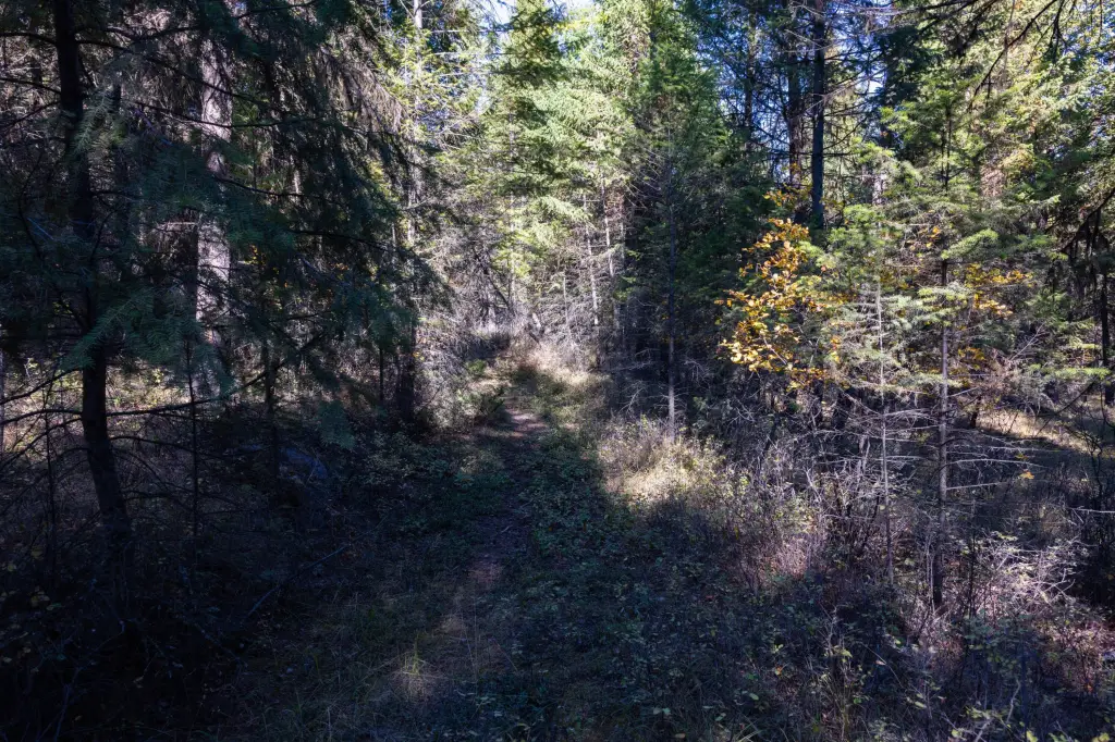 Picture 20