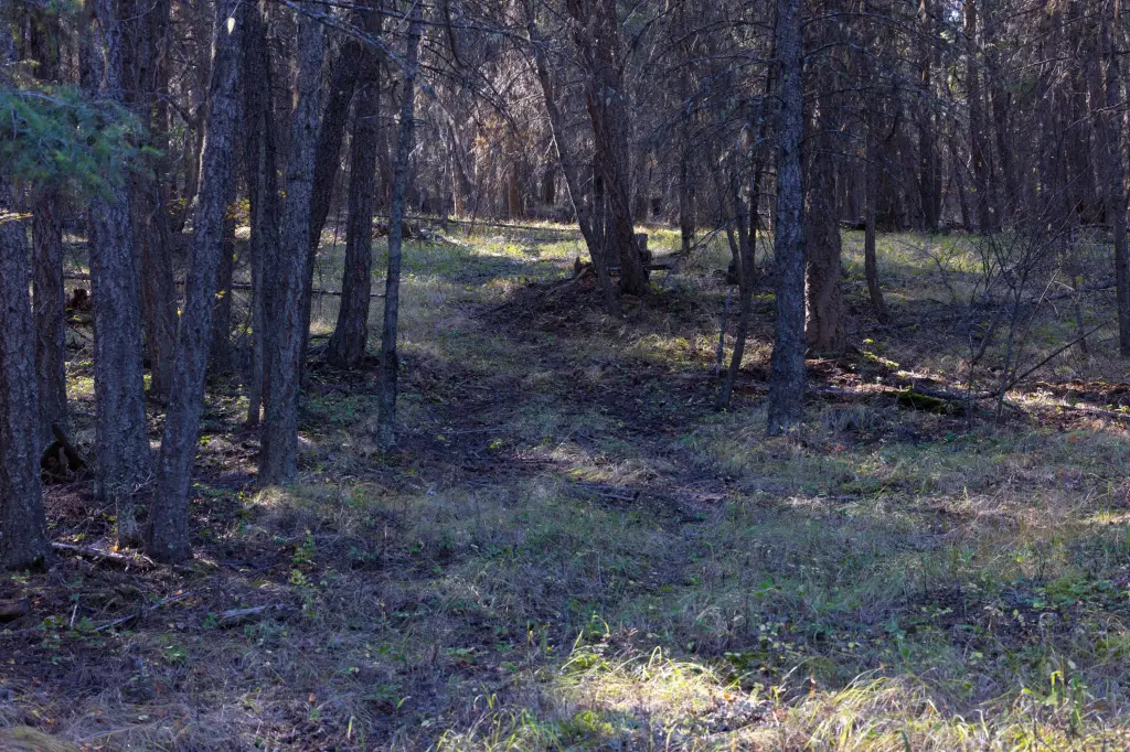 Picture 9