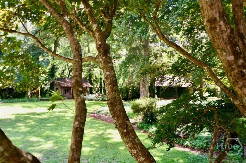 Picture 43