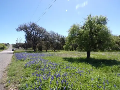 Llano, TX Acreage with Live Oaks