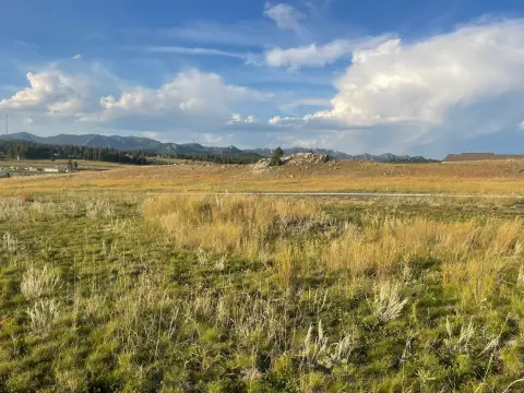 Residential Land in Black Hills