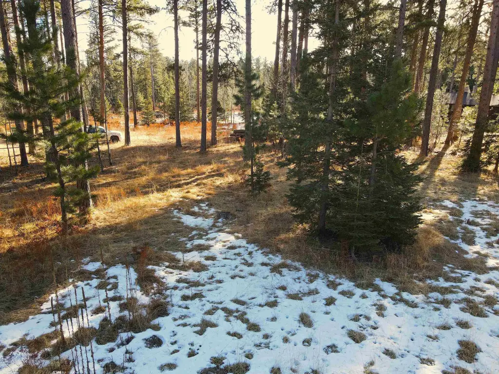 Picture 6