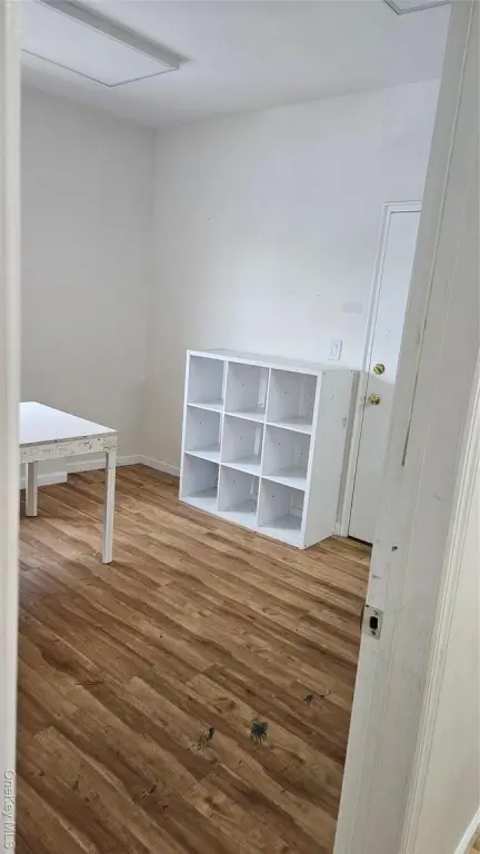Picture 3