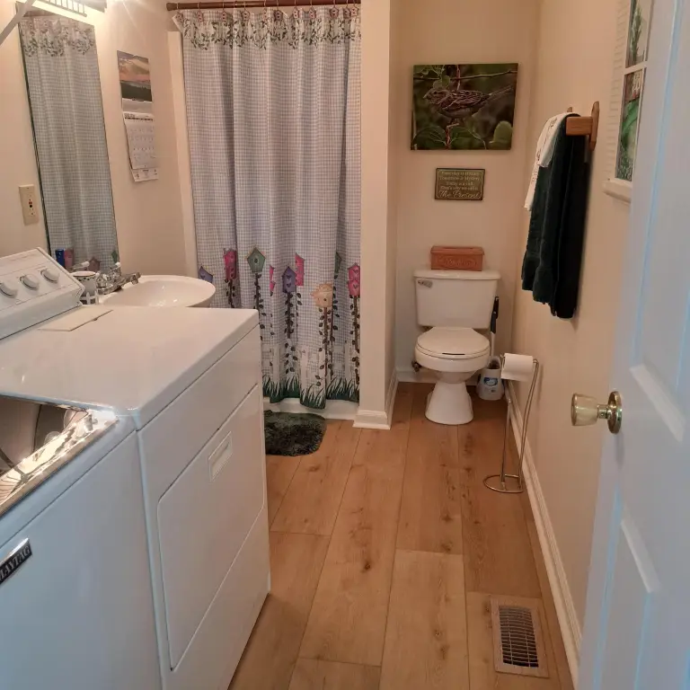 Picture 15