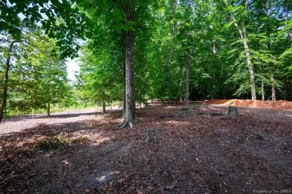 Picture 10