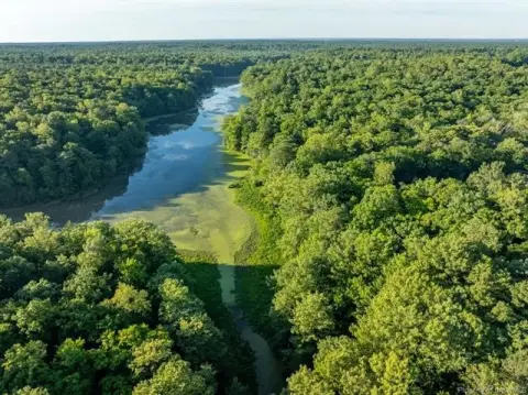 Wooded Acreage with Branch