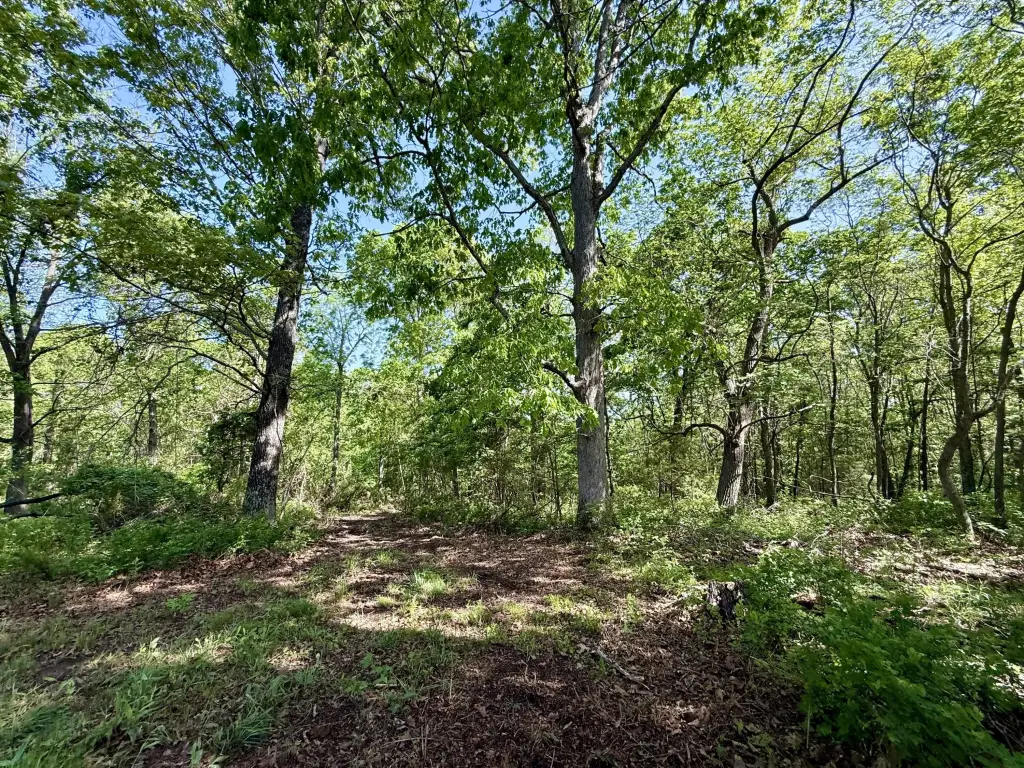 Picture 6
