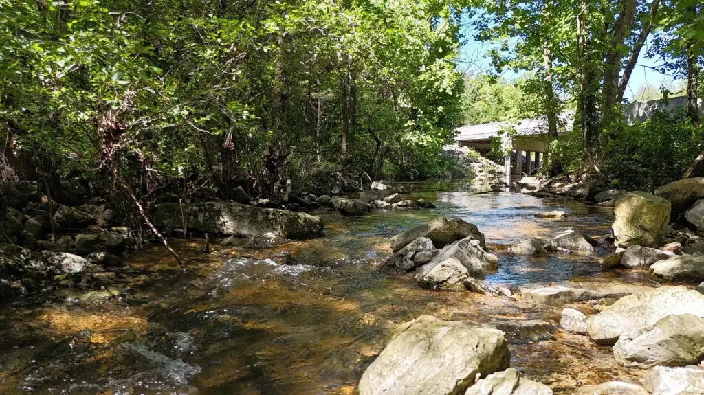 Picture 6