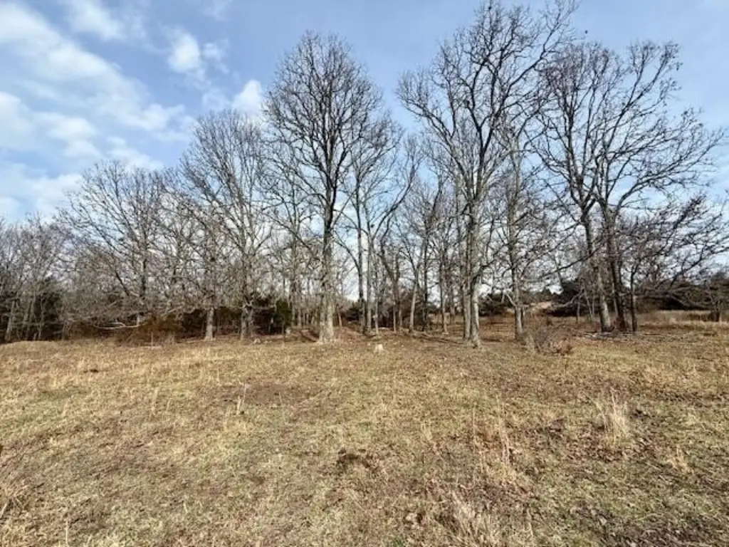 Picture 9