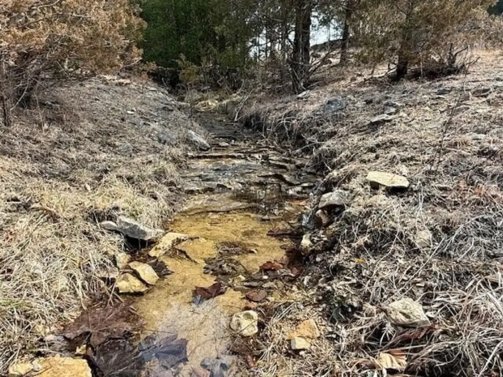 Picture 6