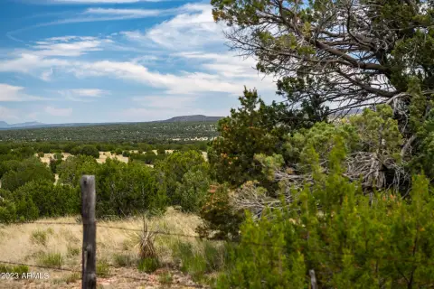 Seligman Land with Valley Views
